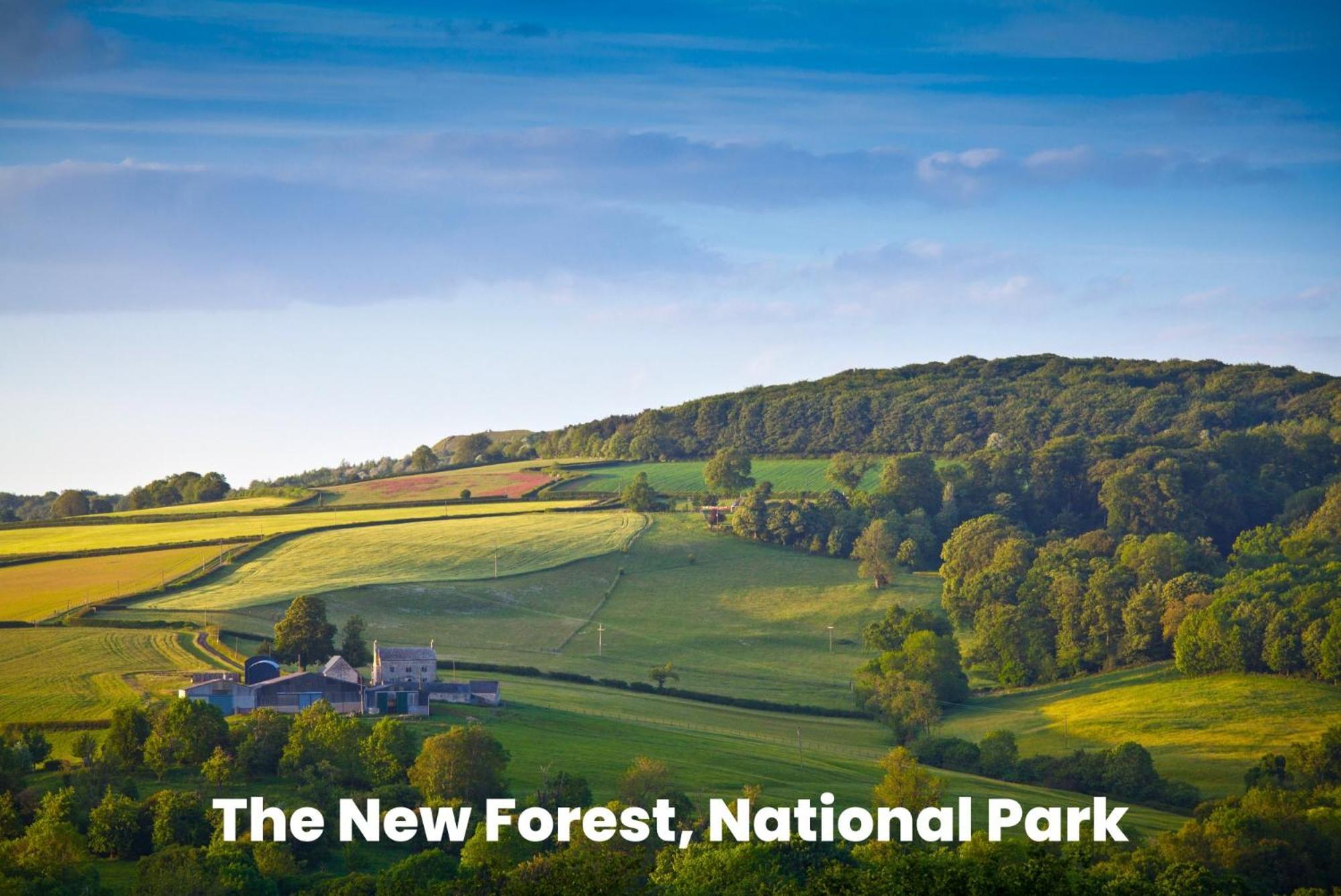 Cosy Retreat Near New Forest Ellingham  ภายนอก รูปภาพ