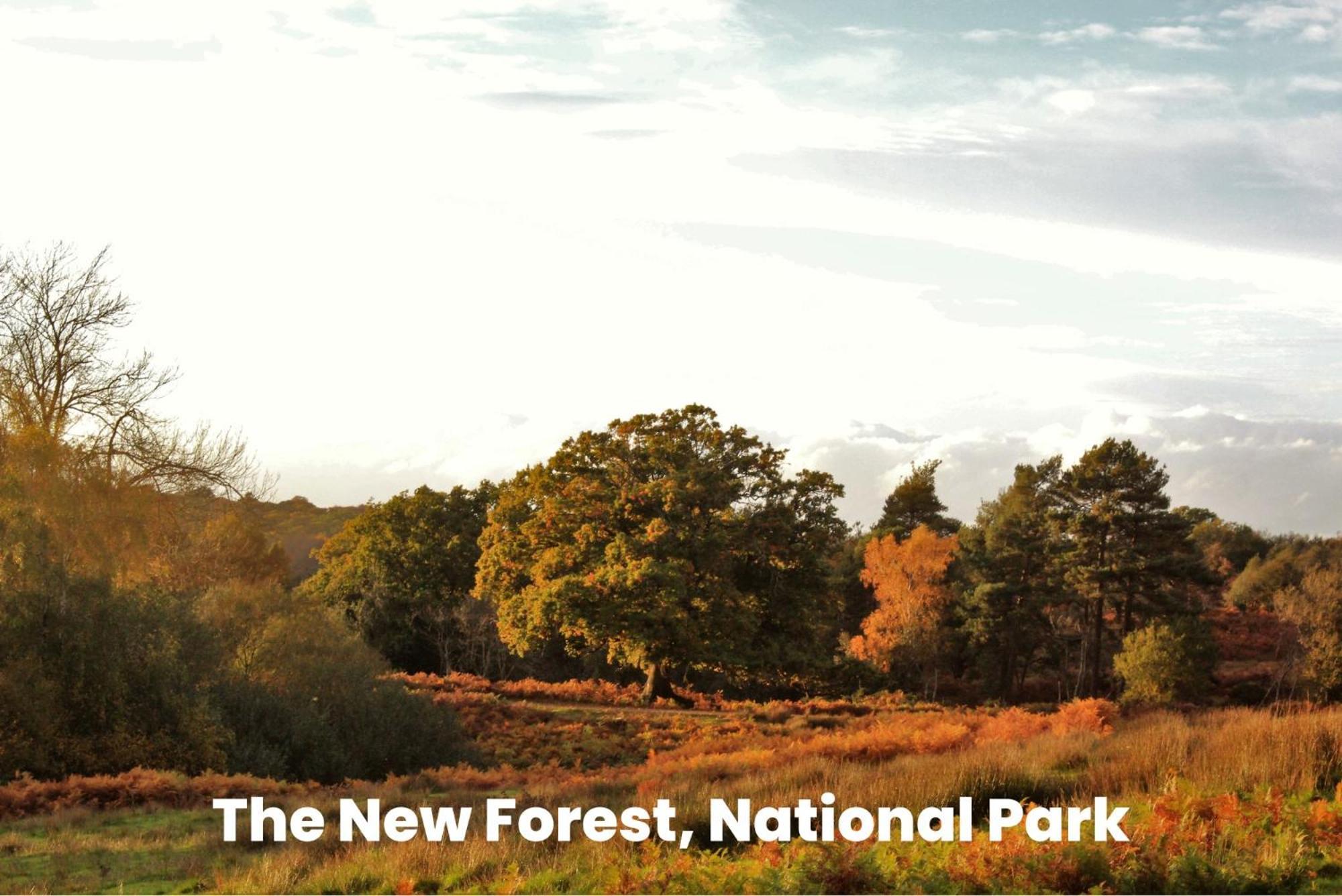 Cosy Retreat Near New Forest Ellingham  ภายนอก รูปภาพ