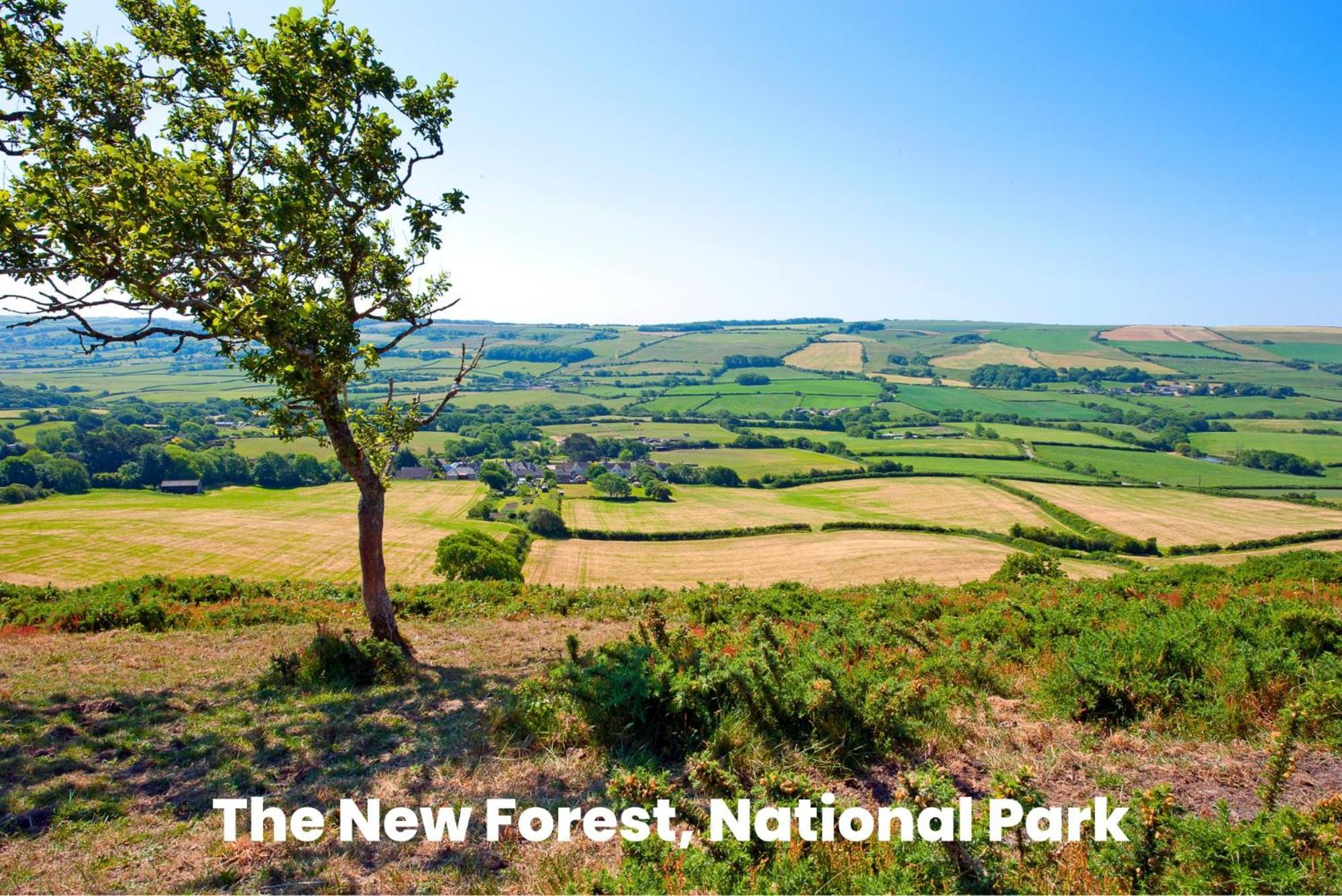 Cosy Retreat Near New Forest Ellingham  ภายนอก รูปภาพ